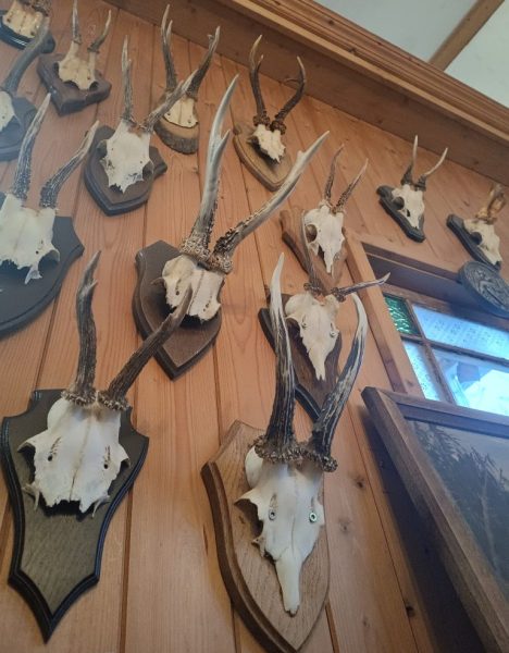 IMG_20260204_163038923_HDR